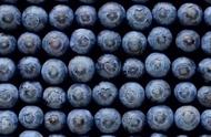 蓝莓的正确吃法（六种人不宜吃蓝莓）