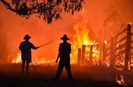 澳大利亚森林大火的危害（澳大利亚森林大火怎么处置）