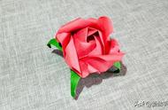 玫瑰花的折法简单易学图片（最简单的玫瑰花的折法图解）