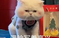 大脸猫卡通包（卡通kitty猫包）