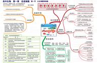 高中生物知识思维导图（高中生物详细知识点思维导图）