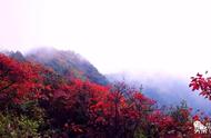 木齐送你一朵小红花取景地（送你一朵小红花取景地青岛台东）