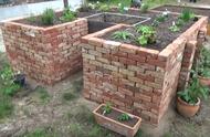 怎样用小红砖砌菜园（红砖砌菜园围栏）