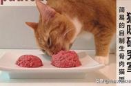怎么自制生骨肉猫喜欢吃（自己制作生骨肉给猫咪吃配方）