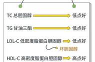 低密度脂蛋白4.1（低密度脂蛋白4.17）