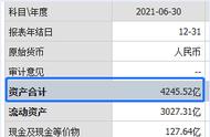 房地产开发公司为何有应收账款（房地产开发公司需要什么资质）