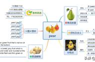 pear英文怎么读视频（pear怎么读发音）