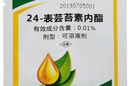 芸苔素内酯24表好还是28表好（芸苔素使用十大禁忌）