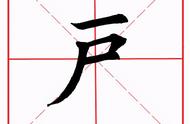 户字旁有什么字（户字旁的字有哪些呢）