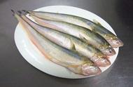 长江带鱼和普通带鱼的区别（小眼带鱼与其它带鱼的区别）