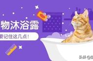 猫咪用沐浴露怎么选（猫咪专用沐浴露怎么选）