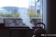 铁观音为什么不宜多喝（对眼睛最好的茶）