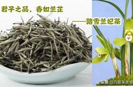 兰花茶怎么喝效果最好（兰花茶功效与作用禁忌）