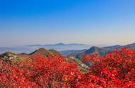长寿山几月份看红叶最好（长寿山的红叶图片）