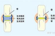 摸高1000次长高20cm（摸高三年长高30厘米可能吗）