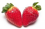 四季草莓种植方法和注意事项（四季草莓种植方法全过程）