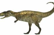 白垩纪晚期的大型食草恐龙有哪些（白垩纪食草恐龙有哪些）