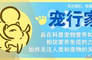 猫这一课给我们的启发是什么（猫这篇文章告诉我们一个什么道理）