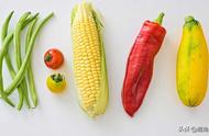 玉米属于蔬菜还是什么东西（玉米是蔬菜类还是粮食类）