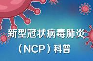 ncp机制是什么（ncp情况简介）