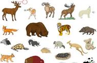 哺乳动物分类目录