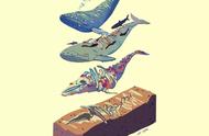 贝氏喙鲸（贝氏喙鲸的头骨图片）