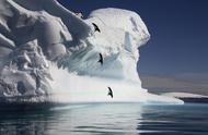 南北极冰融化会有什么后果（北极冰融化对气候有什么影响）