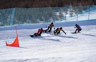 冬奥会单板滑雪障碍场地（冬奥会单板滑雪评分标准）
