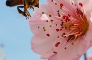 给老师写祝福的成语（给老师的四字成语祝福）