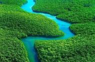 世界三大热带雨林区分别是什么（世界著名的热带雨林有哪些）