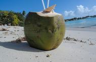 椰子可以在冰箱里存放多久（椰子需要放在冰箱里冷藏吗）