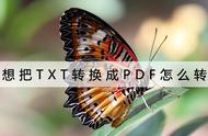 txt转pdf目录（电子书txt转换为pdf）