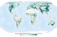 世界森林覆盖率排名（世界森林覆盖率排名前十）