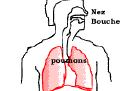 胸式呼吸的正确方法图解（胸式呼吸的正确训练方法）
