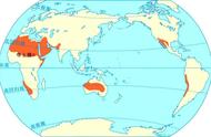 热带荒漠典型分布区（热带荒漠带分布地区）