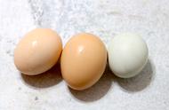 怎样区分土鸡蛋和普通鸡蛋（怎么分别土鸡蛋和普通鸡蛋）