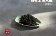 水仙茶的缺点（水仙茶哪里的最好）