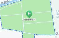 北京最大银杏树在哪里（北京银杏树最大的一棵树在哪里）