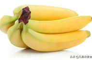 香蕉从种植到收成大概几个月（香蕉从种植到收成要经过多少个月）