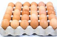 鸡蛋的哪几部分相当于卵细胞（鸡蛋中的什么相当于一个卵细胞）