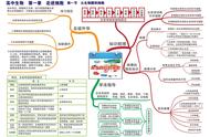 高一生物必修一第一章思维导图（高一生物必修一1-5章思维导图）