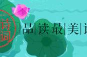 描写夏夜的优美句子（描写夏夜的优美句子100字）