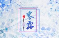 寒露当天要吃什么菜（寒露时节适合吃什么蔬菜）