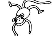 猴子的卡通画法（猴子卡通形象）