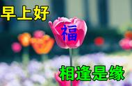 下载早上好动态表情带字图片大全集（早上好图片漂亮动态表情包）