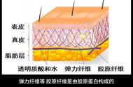 皮肤里含有的成分（皮肤的代谢成分包括哪些）