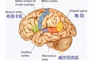 3岁儿童怎么培养英语口语（儿童如何学习英语口语）