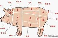 猪肉配菜一览表（羊肉最佳配菜一览表）