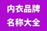 内衣店取名100个字（女性内衣店取名100个字）