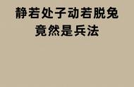 静于处子动于兔子是什么意思（静于处子动于兔子是什么意思解释）